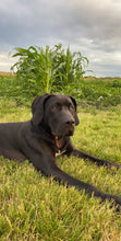 Load image into Gallery viewer, Tucker’s Cherry Farm