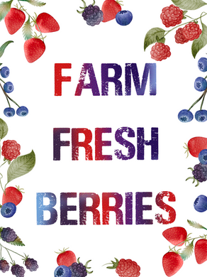 Farm Fresh Berries