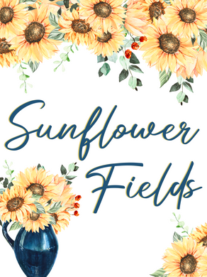 Sunflower Fields