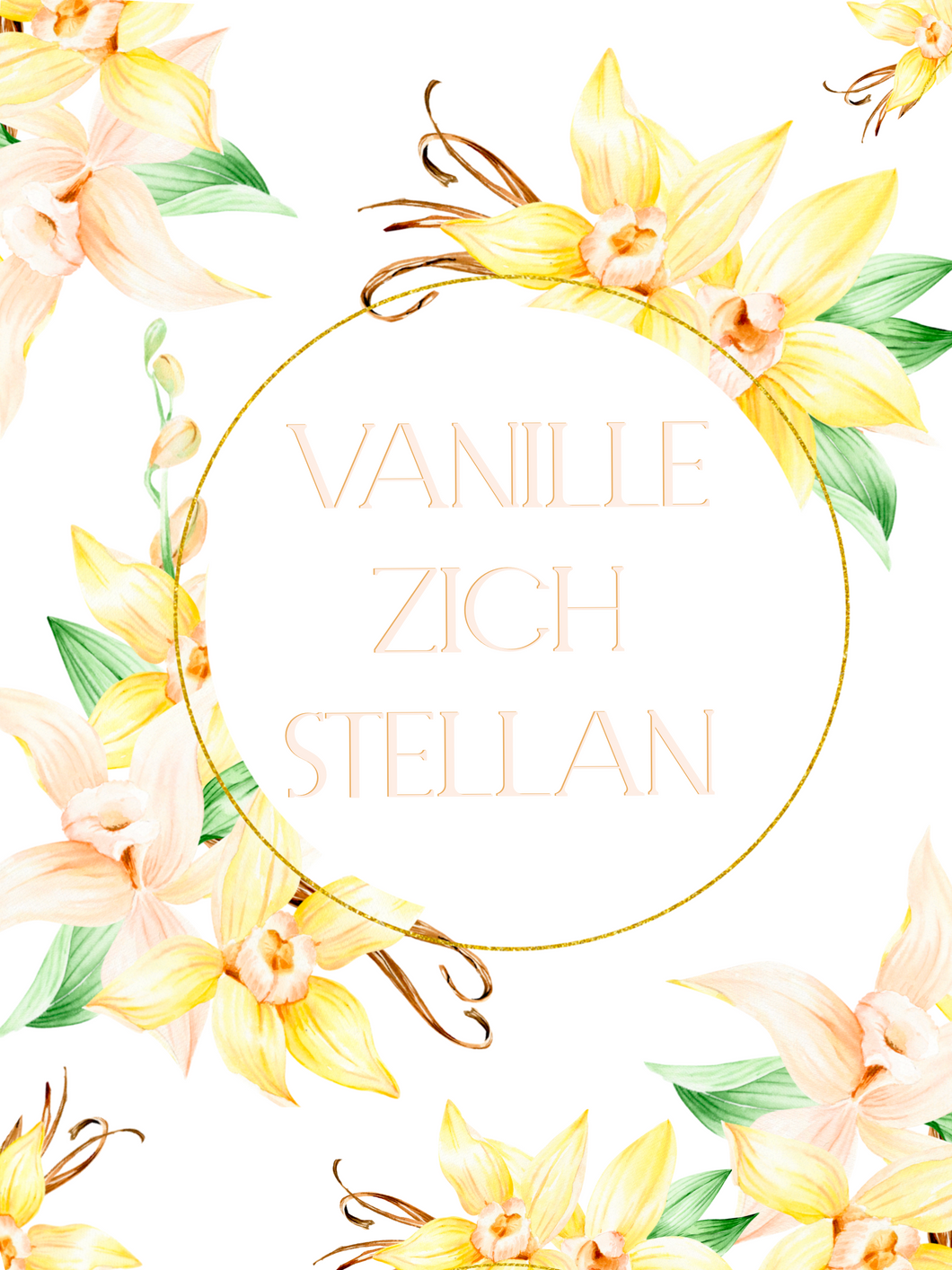 Vanilla Zich Stellan
