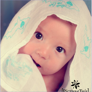 Michigan U.P. Swaddle - Made With Love